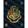 Harry Potter Bettwäsche - Baumwolle - Kissen Bezug und extra Decke, Lizenzartikel