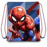 Turnbeutel 40x30cm Avengers, Spiderman, Mickey, Minni, Disney oder Marvel Lizenzartikel