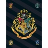 Harry Potter Bettwäsche - Baumwolle - Kissen 70x90, Bett-Bezug 140x200, extra Decke und Badetuch, Lizenzartikel-Set