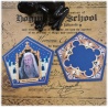 22 Stück Hogwarts Zauberer Sammelkarten H.Potter,Hermine, Dumbledore u.v.a.